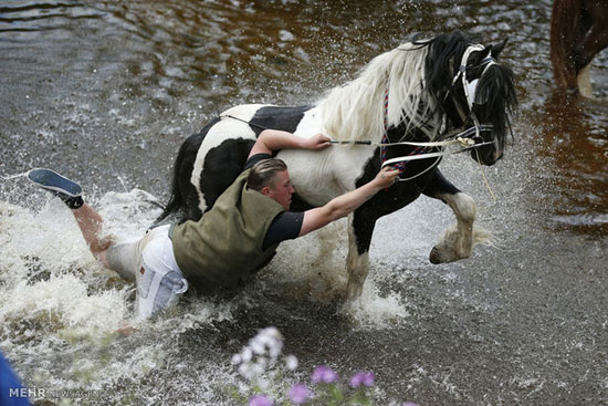 عکس: جشنواره اسب اپلبای‎ در انگلیس