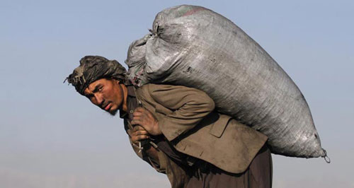 کارگران افغان، عامل بیکاری نیستند