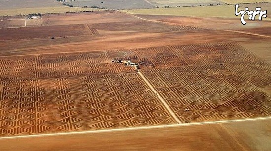 مبارزه هنرمندانه کشاورز استرالیایی با فرسایش خاک