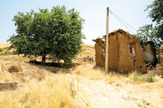 دو همسایه، تنها ساکنان «کوتان»