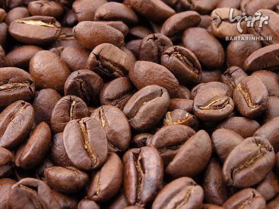 گران ترین قهوه دنیا از بد جایی می آید!