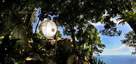 پیله درختی، مکانی امن برای اقامت گردشگران در جنگل