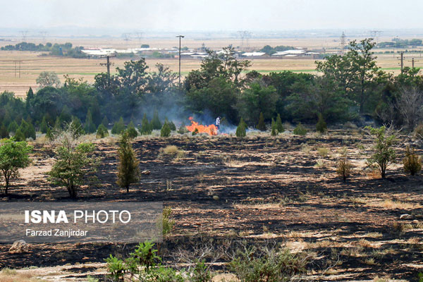 پارک جنگلی فدک در آتش سوخت