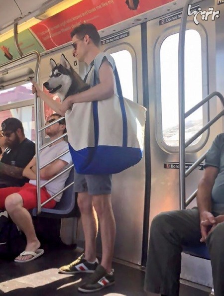 عجیب‌ترین افرادی که در مترو دیده شده اند