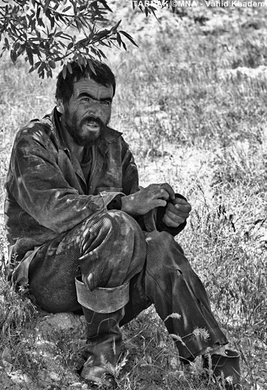 زندگی به شیوه انسانهای نخستین!