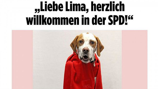 جنجال یک سگ در حزب سوسیال دموکرات آلمان