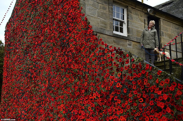 هزاران گل خشخاش قرمز برای بزرگداشت قربانیان جنگ جهانی اول