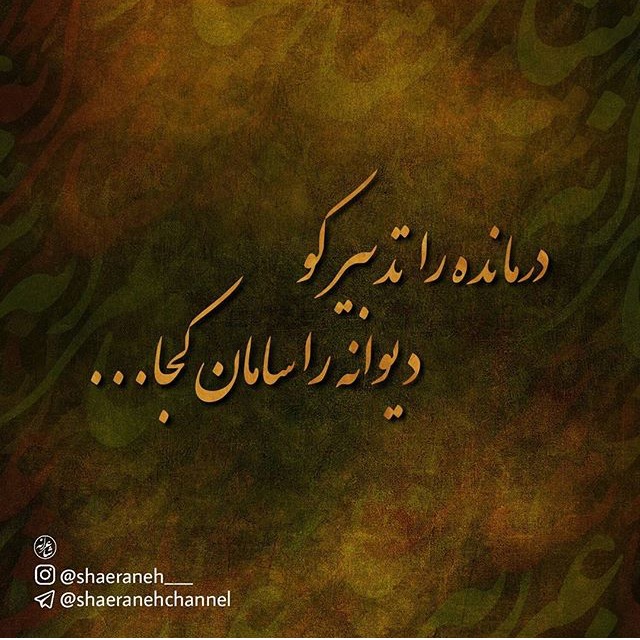 مینی شعر (451)