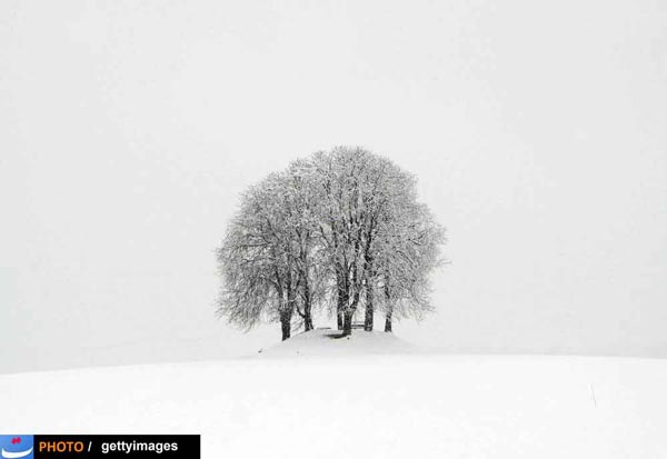 تصاویر: برف جهان را سفید پوش کرد