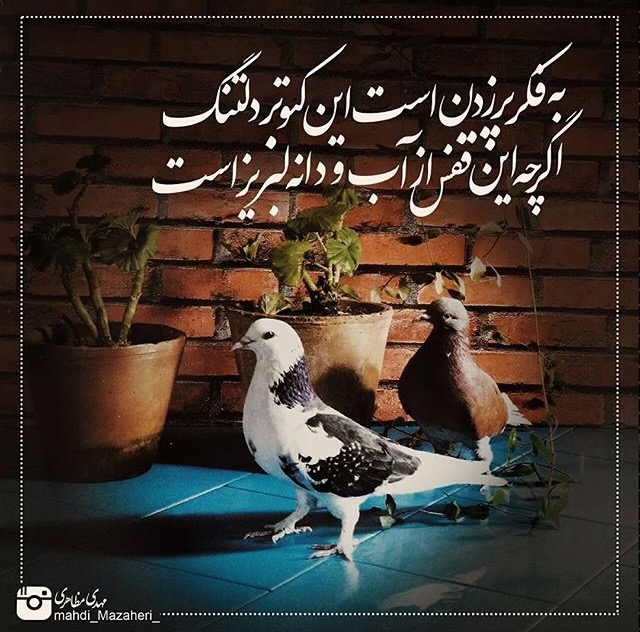 مینی شعر (425)