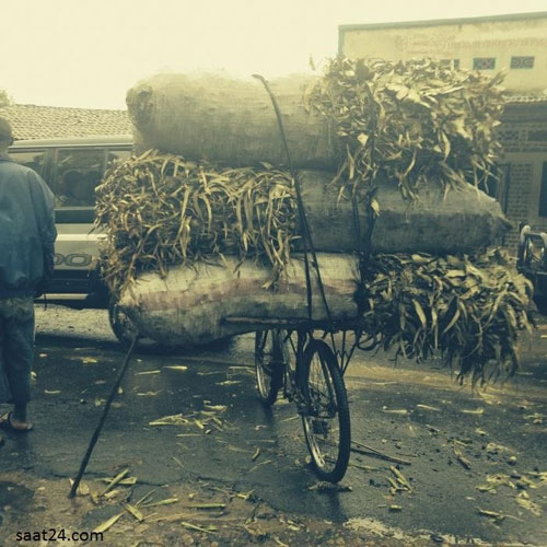 اینجا دوچرخه از نان شب واجب تر است!