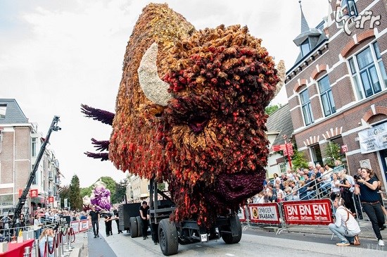 فستیوال رژه شناورهای گل در هلند