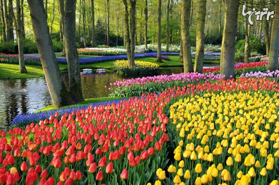 زیباترین باغ ها در سراسر دنیا