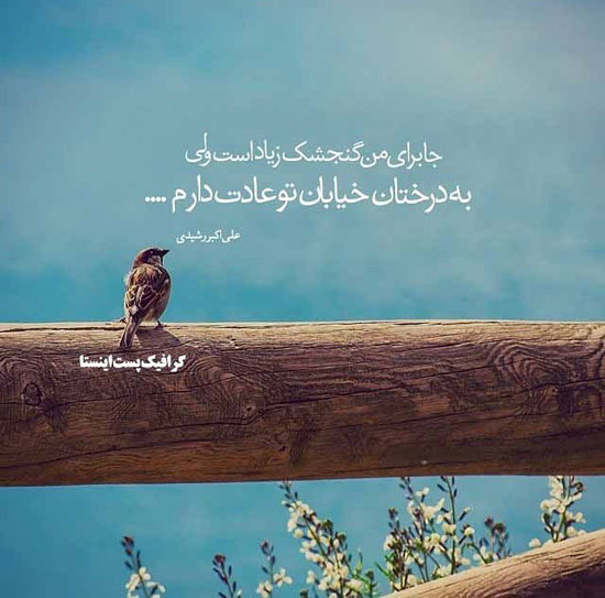 مینی شعر (303)