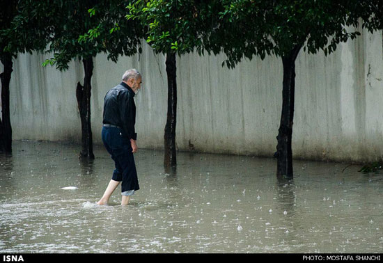 عکس: آب گرفتگی معابر در ساری