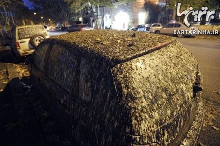 باران مدفوع در شهر رُم! +عکس