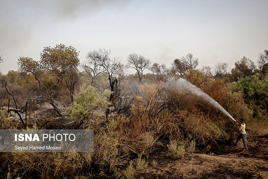 مهار آتش‌سوزی در جنگل‌های منطقه کرخه