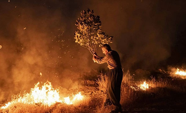 تصاویری از آتش‌سوزی در جنگل‌های پاوه