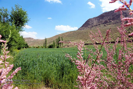 عکس: طبیعت زیبای روستای شصت دره