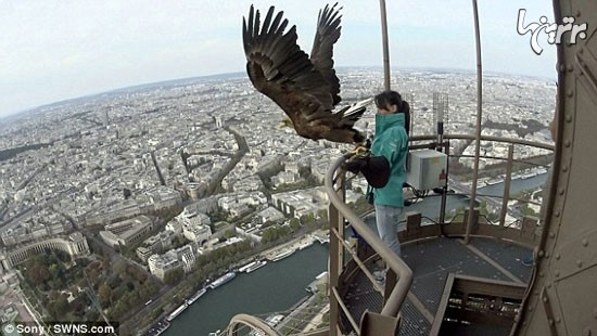 عقابی که از پاریس فیلم‌برداری کرد +فیلم