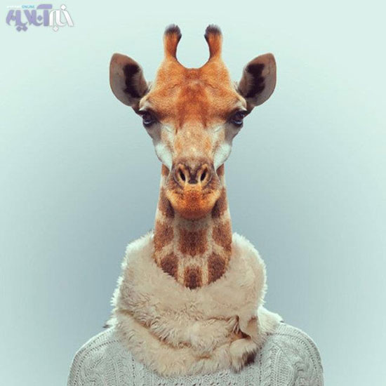 عکس های جالب حیوانات در لباس انسان ها