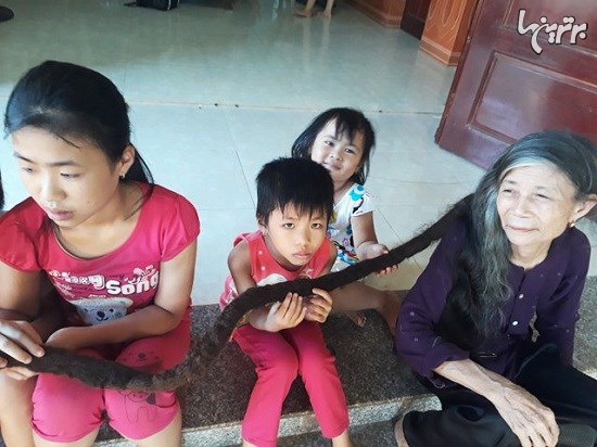 پیرزن ویتنامی با موهای ژولیده سه متری