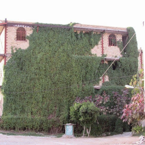 عجیب ترین نمای ساختمان در ایران +عکس