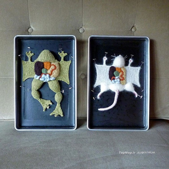 آموزش آناتومی بدن به شیوه جالب! +عکس