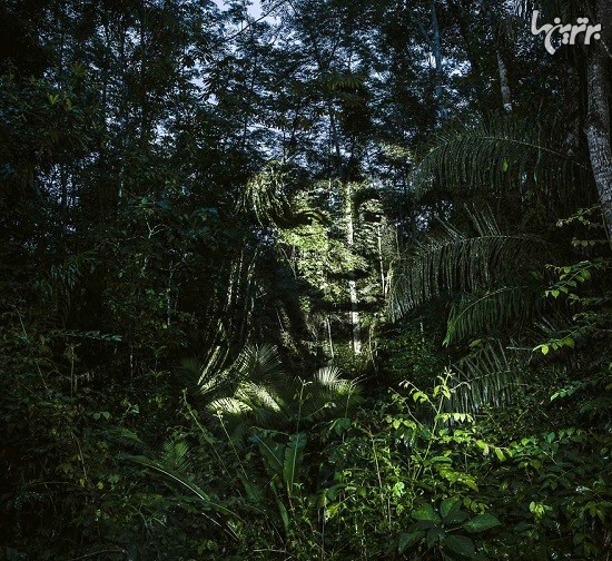 اولین هنرخیابانی جهان در جنگل های آمازون