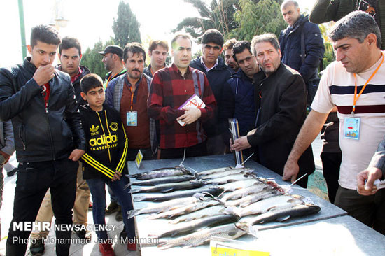 جشنواره ماهیگیری در دریاچه پارک رازی