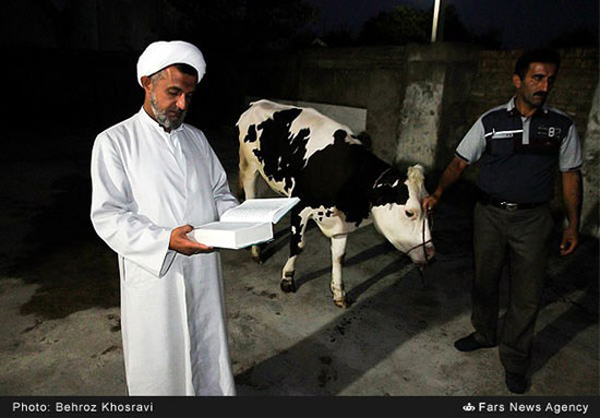 عید قربان در «معلم‌کلا»