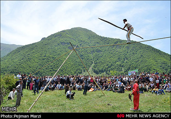 عکس: جشنواره گل گاوزبان