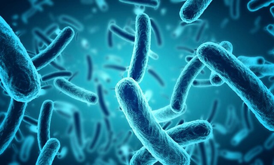 درمان بیماری‌ها با کنترل میکروبیوم بدن