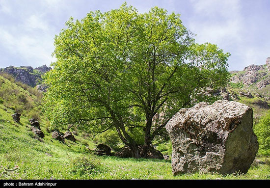 طبیعت ژئوپارک دومولی در اردبیل