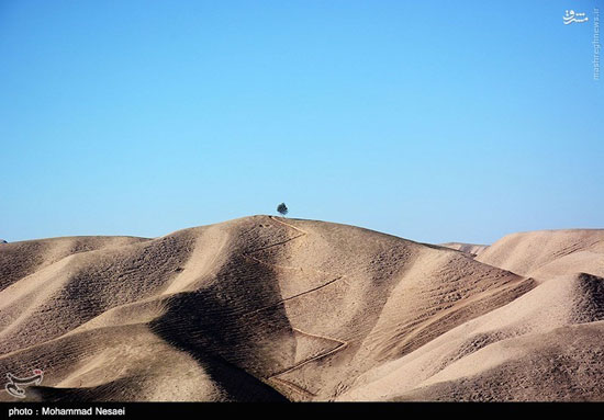 عکس: اینجا صحرای ترکمن است