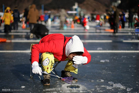 مسابقه سالانه ماهیگیری در کره جنوبی‎