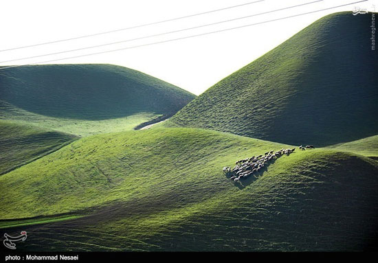 عکس: اینجا صحرای ترکمن است