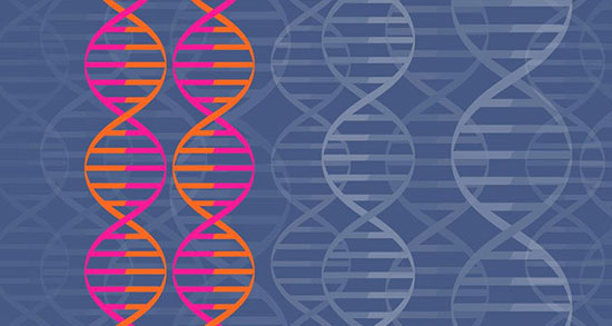 اصلاح ژنتیکی جنین انسان توسط دانشمندان!
