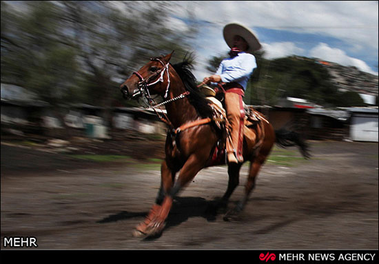 داستان اسب و مکزیکی ها +عکس