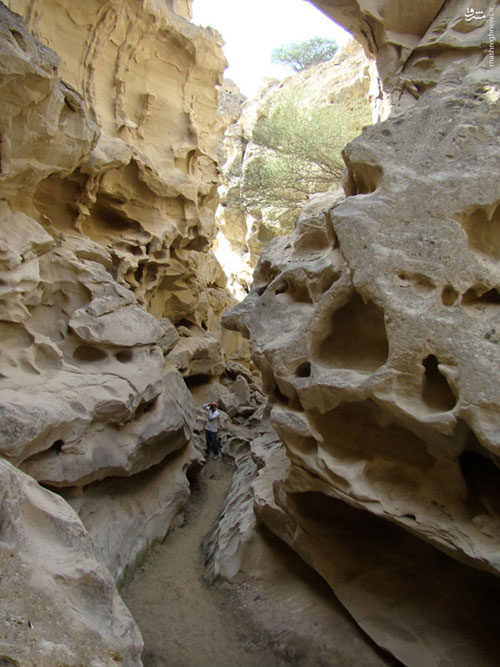 دره ای شگفت انگیز در جنوب ایران