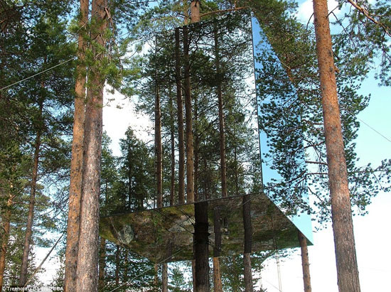 تصاویری از زیباترین خانه های درختی جهان