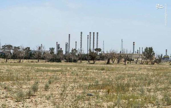نشت نفت به زمین‌های کشاورزی جنوب تهران