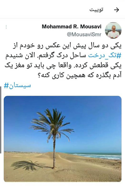 واکنش‌ها به قطع‌شدن تک درخت زیبای «دَرَک» 