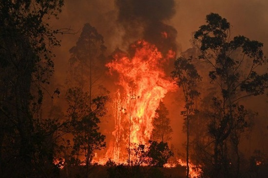 سیدنی همچنان در محاصره شعله‌های آتش