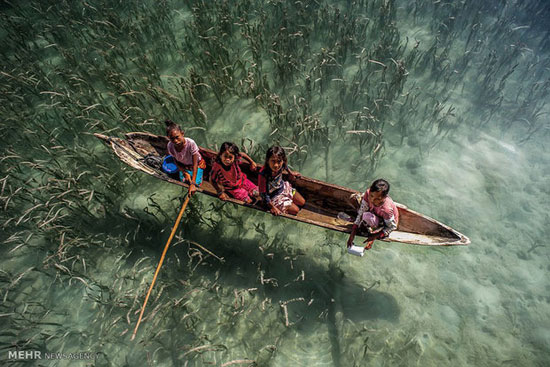 زندگی بر روی آب‎ در مالزی +عکس