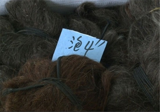 تجارت مو در چین! +عکس