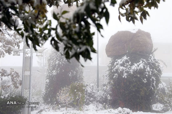 عکس: بارش برف در ارتفاعات تهران