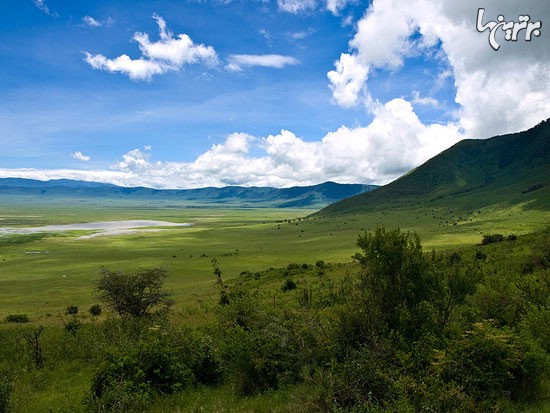 هیجان در تانزانیا، بهشت آفریقا