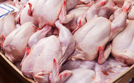 چه عواملی به افزایش قیمت مرغ دامن زد؟