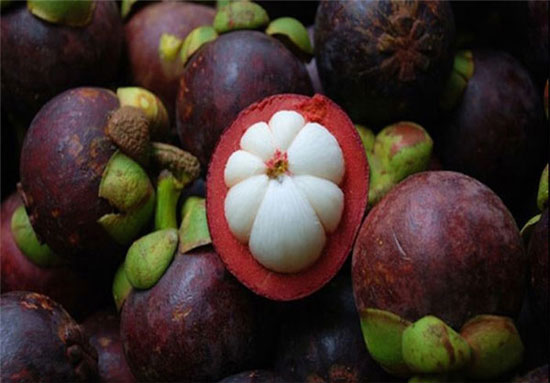 عجیب‌ترین میوه‌های جهان +عکس
